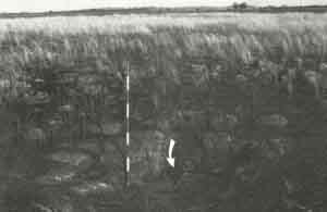 Image: Sites of Significance Werribee L2a
