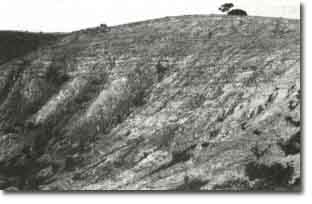 Image: Sites of Significance Werribee L6