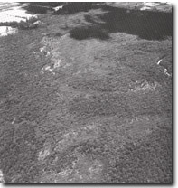 Image: Sites of Significance Westernport Bay