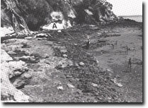 Image: Sites of Significance Westernport Bay
