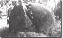 Image: Sites of Significance Westernport Bay