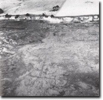 Image: Sites of Significance Westernport Bay