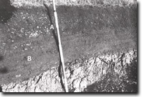 Image: Sites of Significance Westernport Bay
