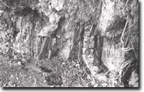 Image: Sites of Significance Westernport Bay