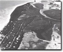 Image: Sites of Significance Westernport Bay