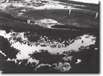 Image: Sites of Significance Westernport Bay