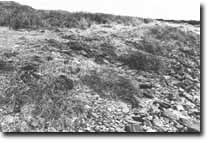 Image: Sites of Significance Westernport Bay