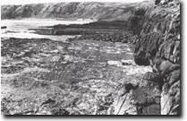 ImageL: Sites of Significance Westernport Bay site 191