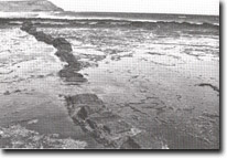 ImageL: Sites of Significance Westernport Bay site 191