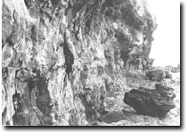 Image: Sites of Significance Westernport Bay