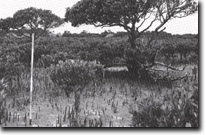 Image: Sites of Significance Westernport Bay