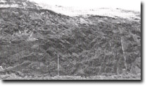 Image: Sites of Significance Westernport Bay
