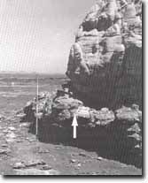 Image: Sites of Significance Westernport Bay