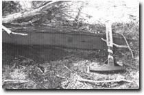 Image: Sites of Significance Westernport Bay