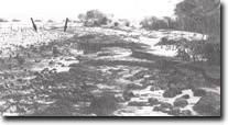 Image: Sites of Significance Westernport Bay