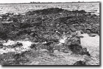Image: Sites of Significance Westernport Bay