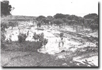 Image: Sites of Significance Westernport Bay