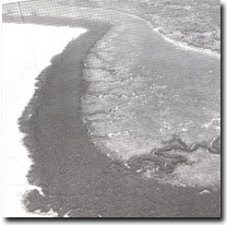 Image: Sites of Significance Westernport Bay
