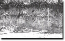 Image: Sites of Significance Westernport Bay
