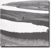 Image: Sites of Significance Westernport Bay