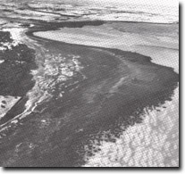 Image: Sites of Significance Westernport Bay