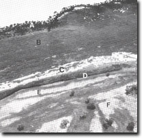 Image: Sites of Significance Westernport Bay