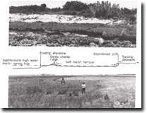 Image: Sites of Significance Westernport Bay