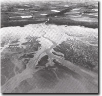 Image: Sites of Significance Westernport Bay