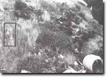 Image: Sites of Significance Westernport Bay Site 167