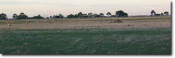 Photos Werribee WP5 landscape