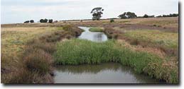 Photo:  Present day Skeleton Creek