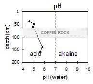 CFTT15 pH graph
