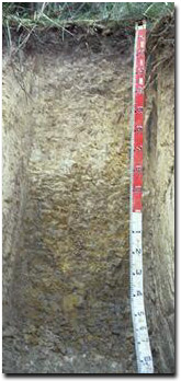 Photo: Site CFTT4, Profile