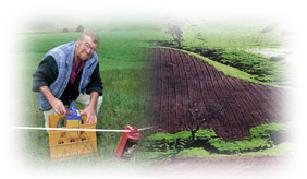 Photo: Cultivation