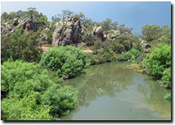 Photo: Devonian outcrop near Lake Glenmaggie