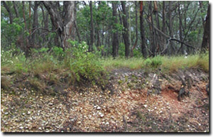 Photo: Site EG3 Landscape