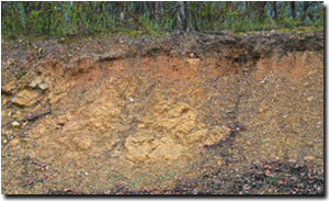 Photo: Site EG4 Landscape