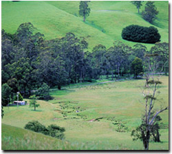 Photo: Avoid fertilising in or around drainage lines, waterways, dams, wet areas or low productivity areas