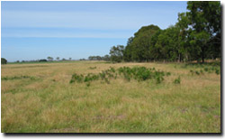 Photo: Example of landscape near Munro (Fernbank with Perry mapping unit).