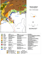 Foster Soils