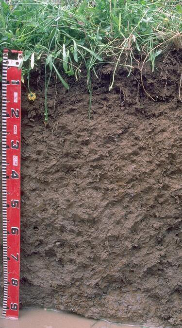 Photo: Site GP14 Profile