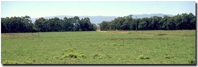 Photo: Site GP18 Landscape