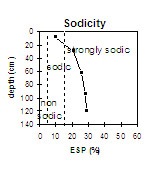 Image:  Sodicity - GP29