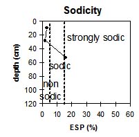Image:  Sodicity - GP33