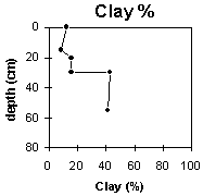 Photo: Site GP46 Clay %