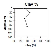 Photo: Site GP50 clay