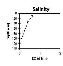 Photo: Site GP50 Salinity