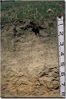 Photo: Site GP52 Profile