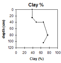 Photo: Site GP60 clay