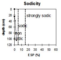 Photo: Site GP60 sodicity